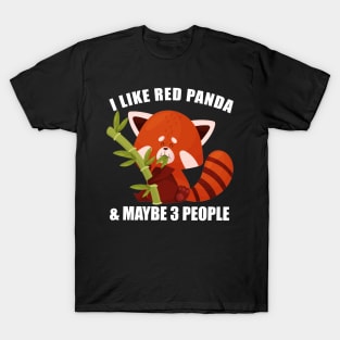 Whisker Wonderland Trendy Tee Showcasing the Beauty of Red Pandas T-Shirt